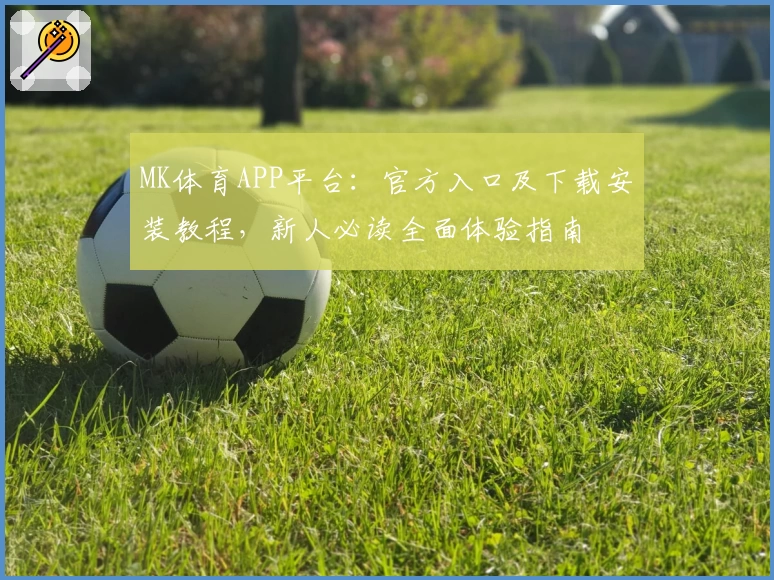 MK体育APP平台：官方入口及下载安装教程，新人必读全面体验指南