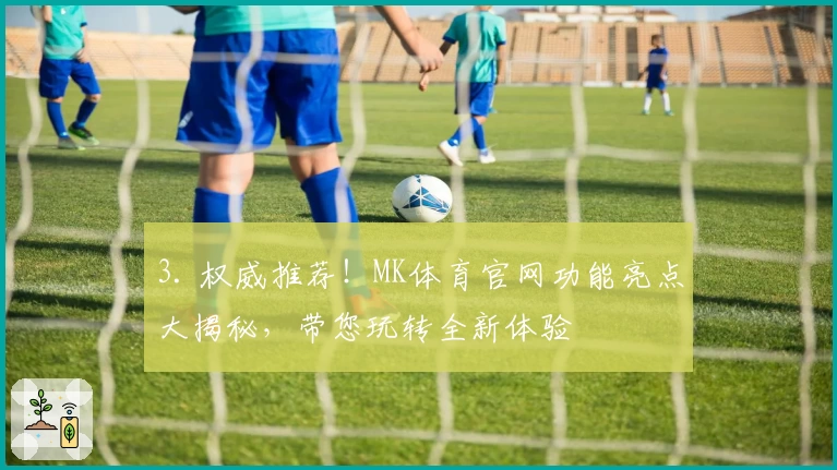 3. 权威推荐！MK体育官网功能亮点大揭秘，带您玩转全新体验