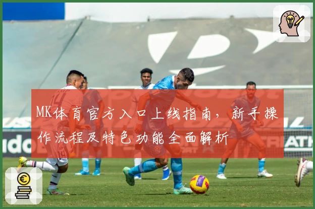 MK体育官方入口上线指南，新手操作流程及特色功能全面解析