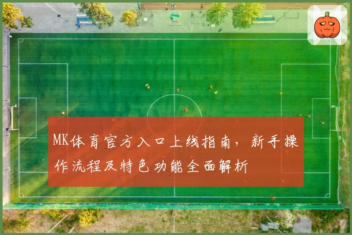 MK体育官方入口上线指南，新手操作流程及特色功能全面解析